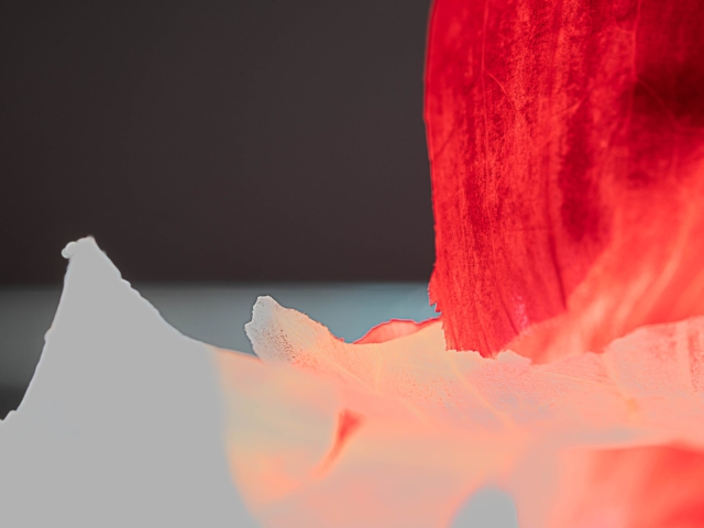 CHAOS ROUGE ET BLANC