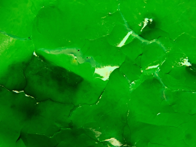 SURFACE VÉGÉTALE