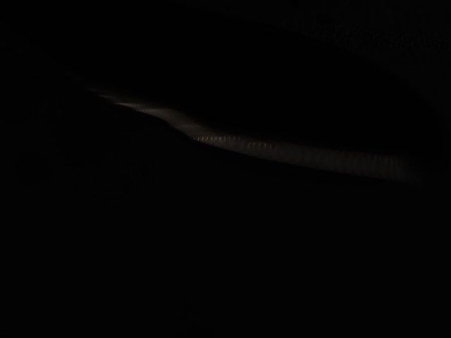 DSC04838.jpg