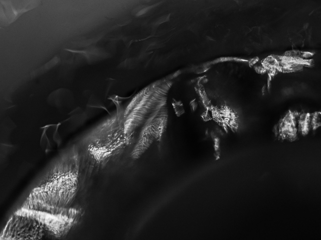 ACQUA SCURA 6